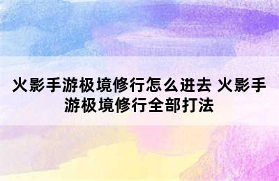 火影手游极境修行怎么进去 火影手游极境修行全部打法